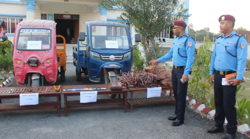 ‘अप्रेसन चार्ली’ अन्तर्गत सर्लाहीमा ट्रान्सफर्मर चोरी गर्ने ९ जना पक्राउ